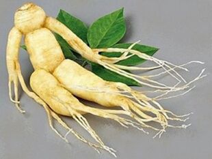 raiz de ginseng para potência