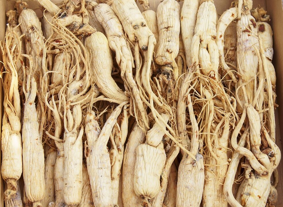 Com base na raiz de ginseng, você pode preparar uma decocção para aumentar a potência